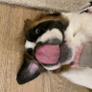 Meet your Posher, Ahna